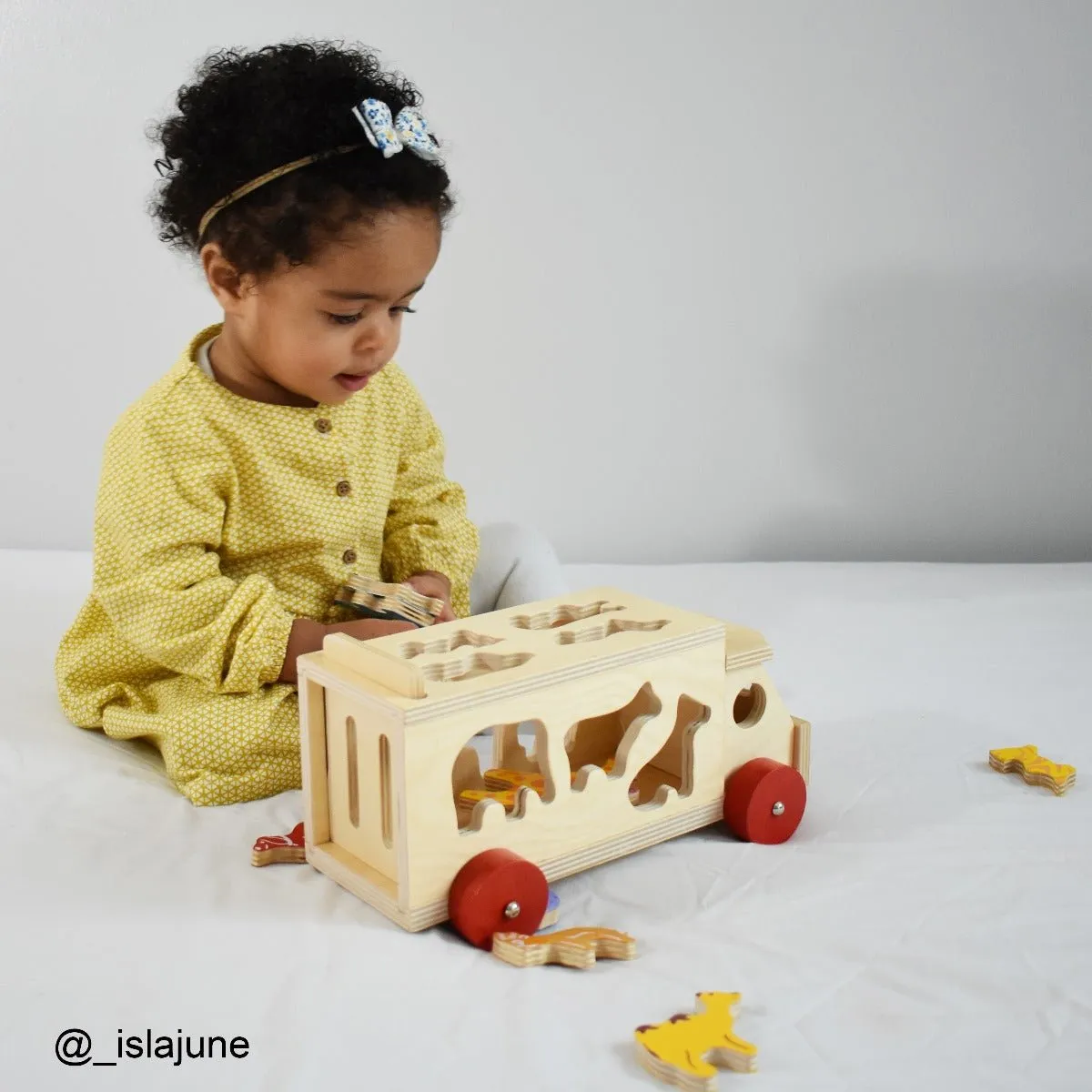 Animal Shape Lorry - Wooden Toy