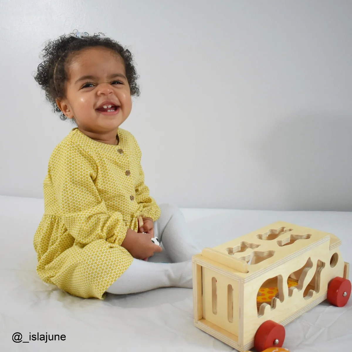 Animal Shape Lorry - Wooden Toy
