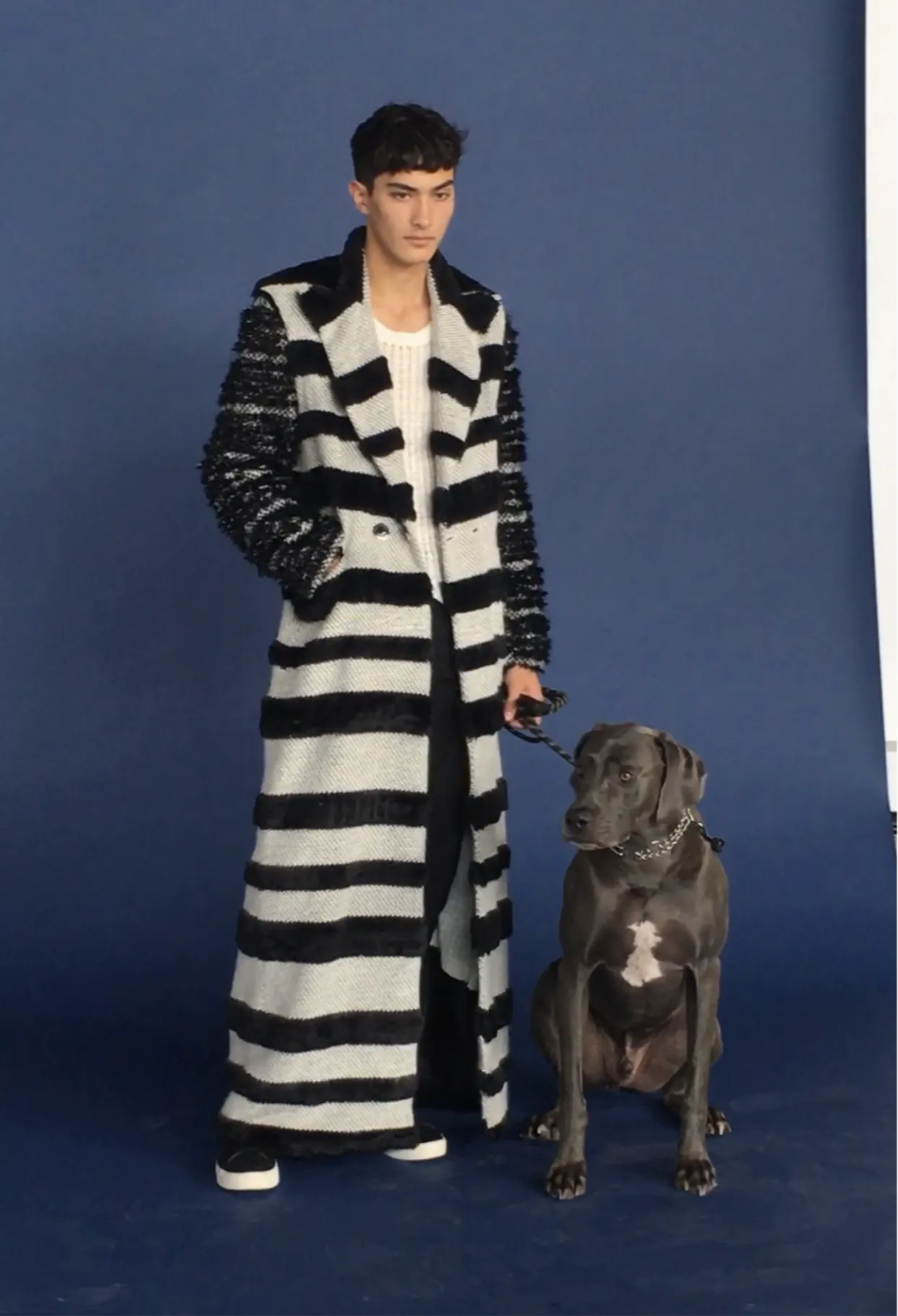 Awning Stripe Duster
