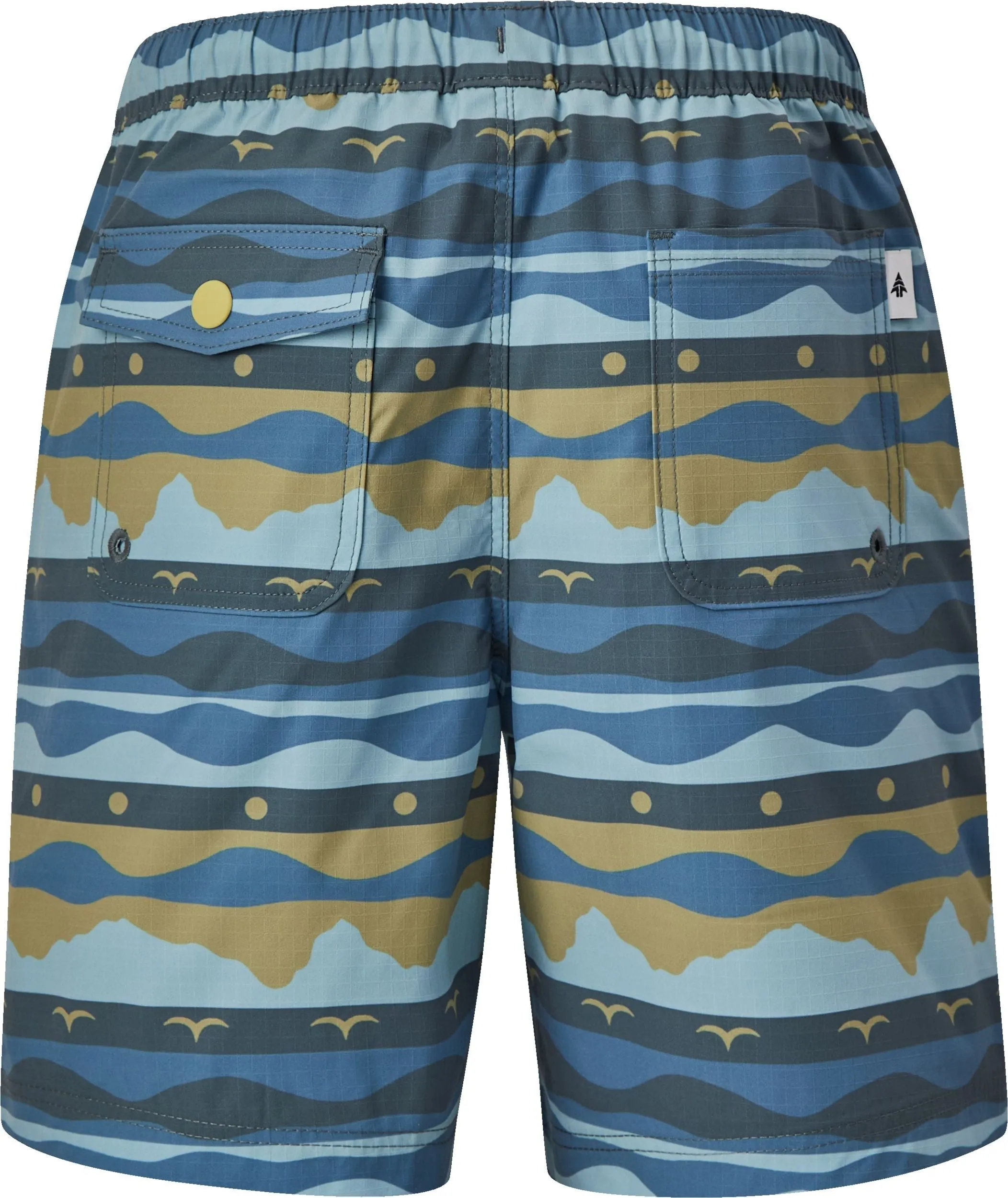 Boy's Stripe Jervis River Shorts