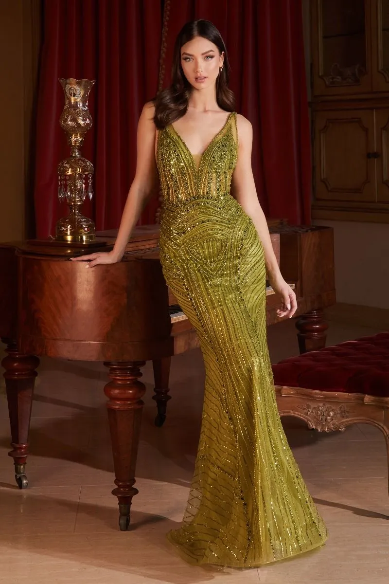CD CD0232 - Bead Embellished Fit & Flare Prom Gown with Sheer V-Neck Bodice