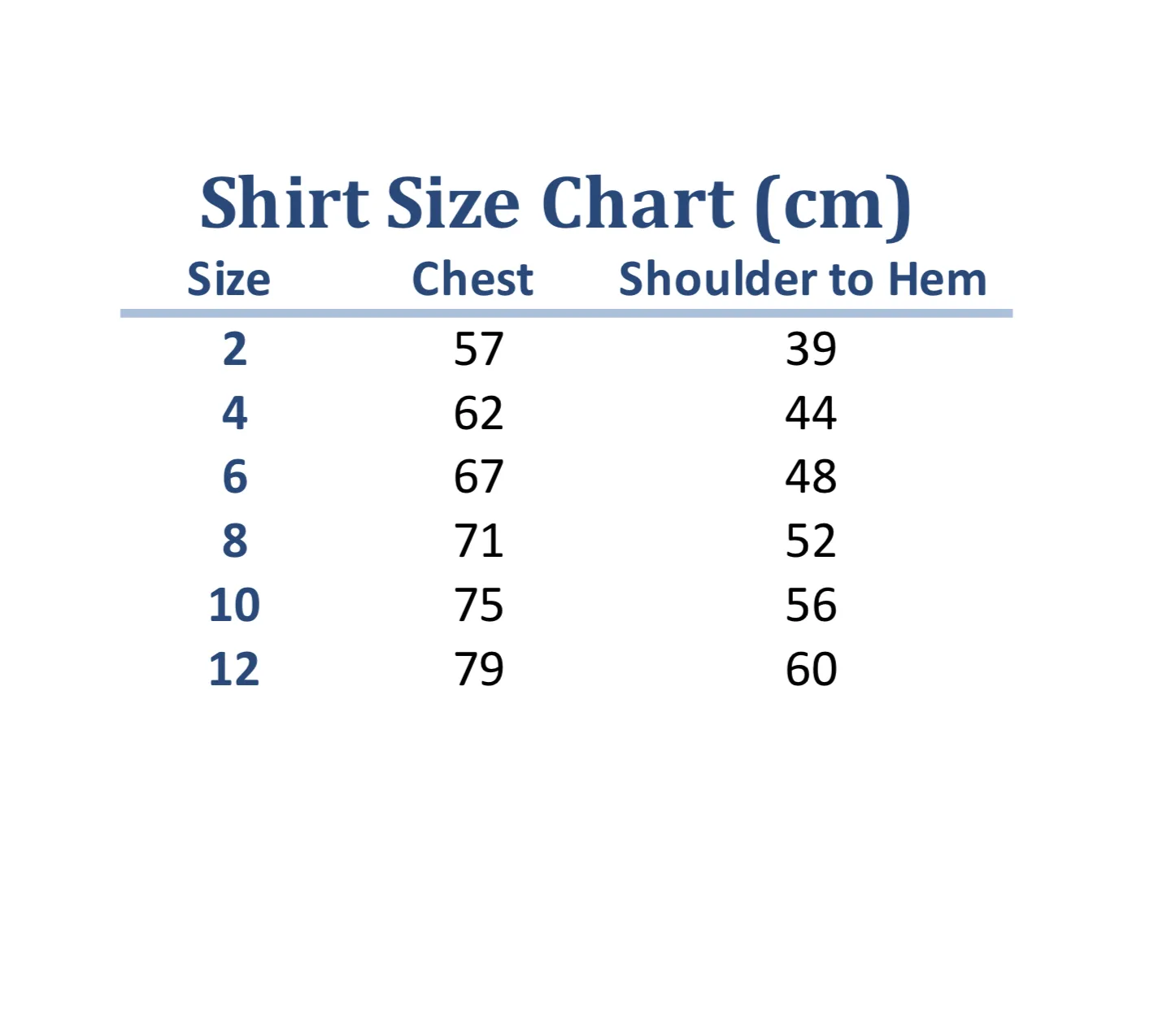CH-TS102- Llama-corn Flip Sequin Shirt