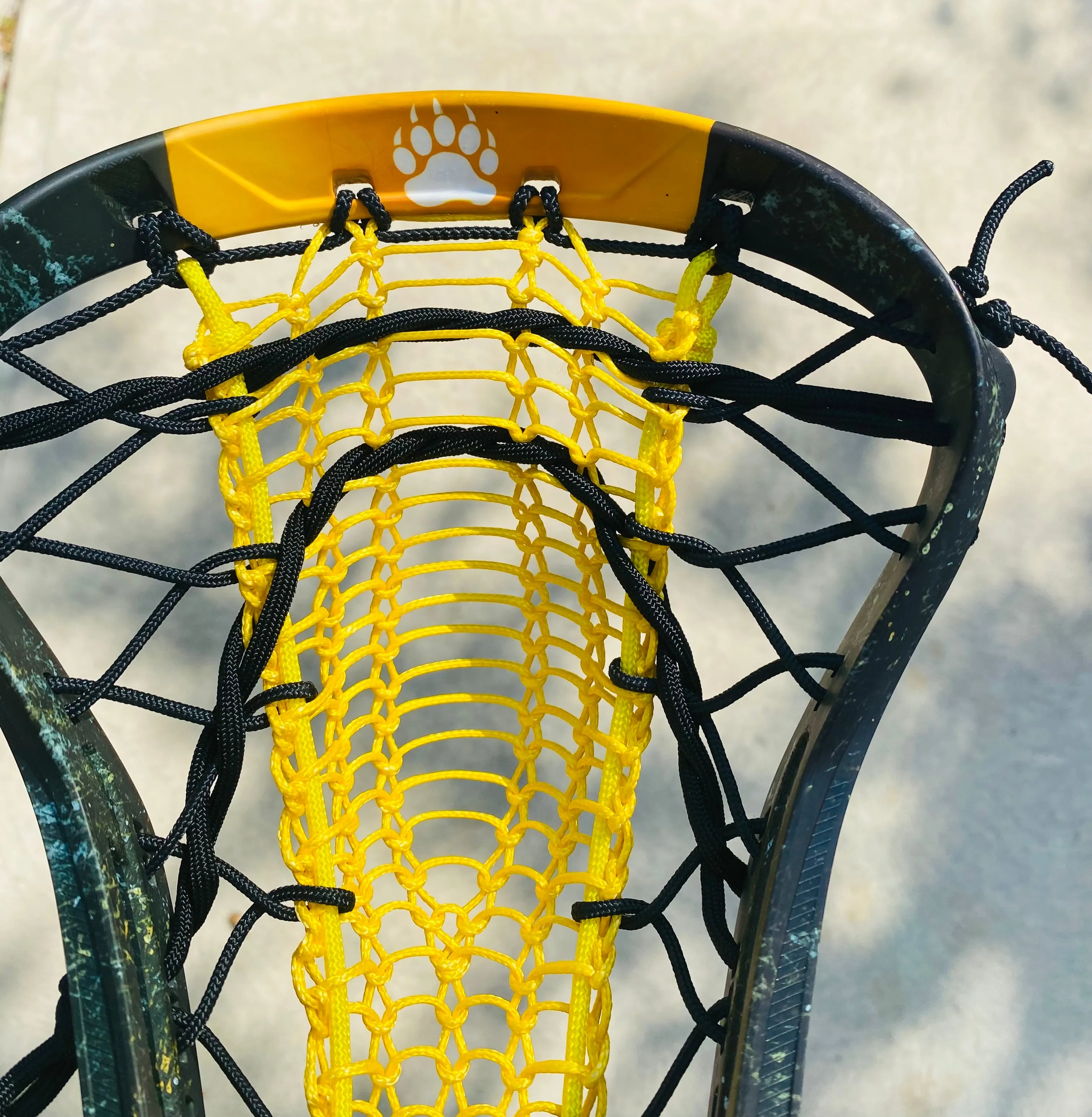 Lacrosse Stick Kodiaks Series #4 "Starry Night"