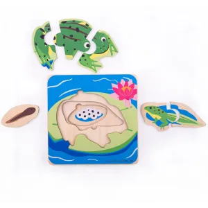 Lifecycle Layer Puzzle - Frog