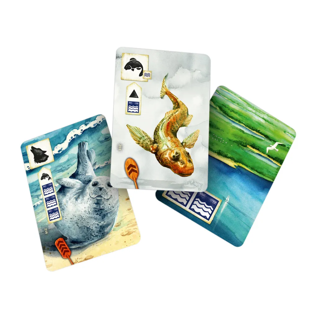 Meadow - Downstream Expansion