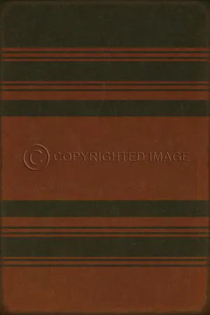 Pattern 50 "Organic Stripes Black and Red" Vinyl Floorcloth