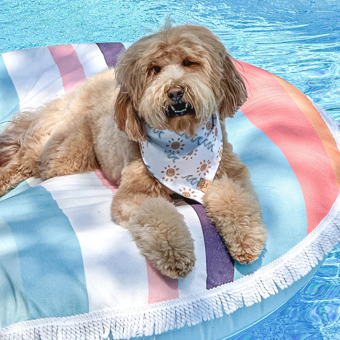Quick Dry Sunny Shore Bandana