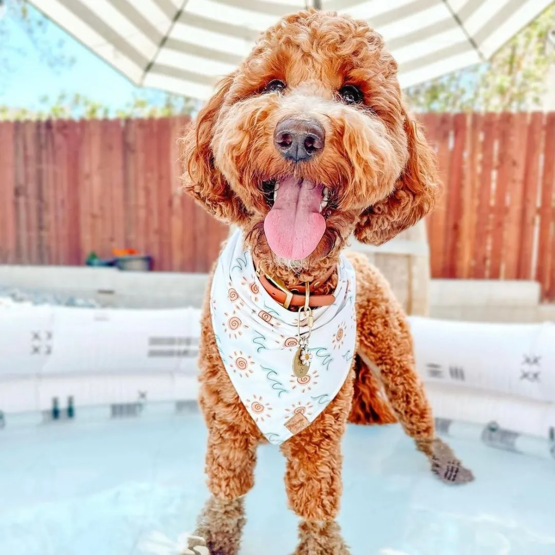 Quick Dry Sunny Shore Bandana