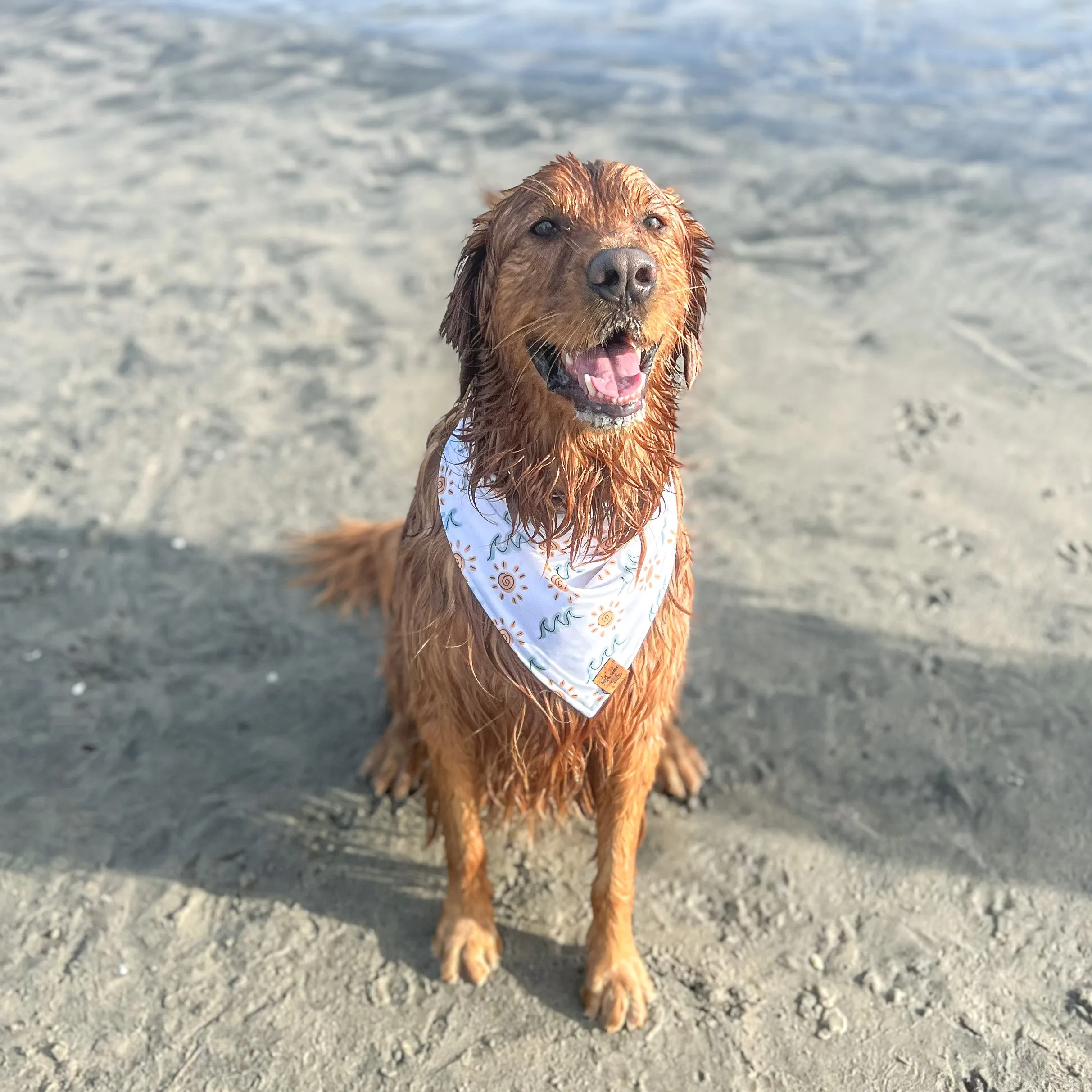 Quick Dry Sunny Shore Bandana