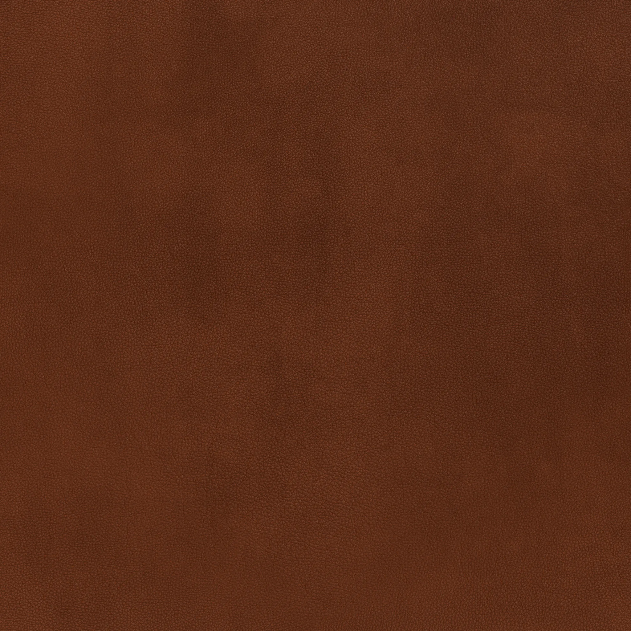 Wallace Leather Armless Loveseat