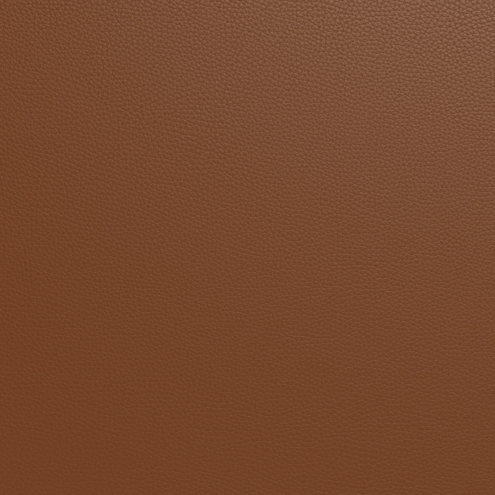 Wallace Leather Armless Loveseat