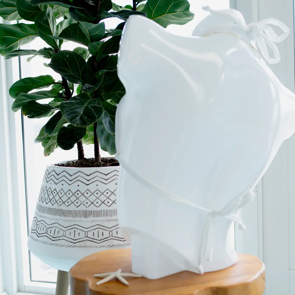 White Iris Top