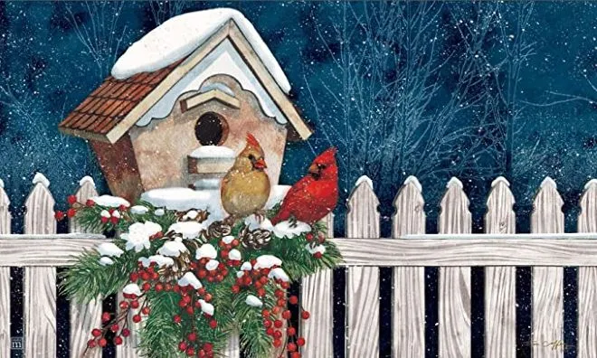 Winter Home Cardinals MatMates